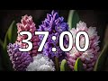 37 minutes timer with music  spring timer