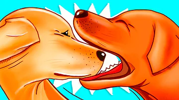 When 2 dogs bite each other are they playing?