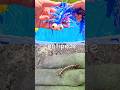 Learn Bug Insect Names for Kids with Toys: Centipede Dragonfly Dead Leaf Mantis Butterfly