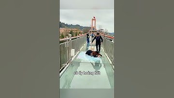 Người đàn ông hoảng sợ khi đi trên cây cầu kính #shorts