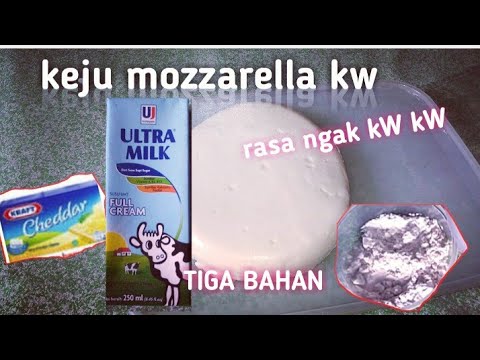 cara-membuat-keju-mozarella-ala-rumahan