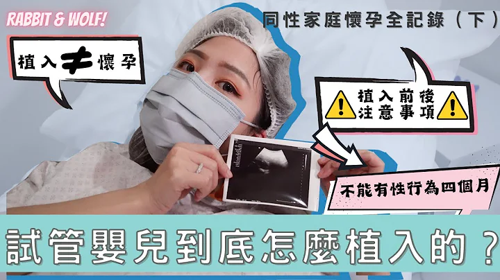 【小兔狼来了EP.12】试管婴儿到底怎么植入的？｜试管植入全记录｜植入不等于怀孕！｜植入胚胎后两周验孕揭晓答案｜兔女狼 - 天天要闻