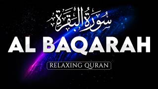 InsyaAllah Menenangkan Pikiran, Murotal Surah Al-Baqarah Paling Indah - AHMAD AL SHALABI