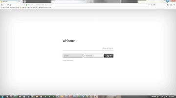 Accessing Your Portal
