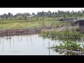 Hồ câu cá Tâm Đức,
