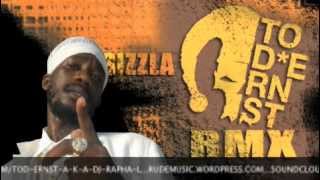 TOD ERNST A.K.A DJ RAPHA L / SIZZLA - SOMEWHERE OH OH / RMX / 2009