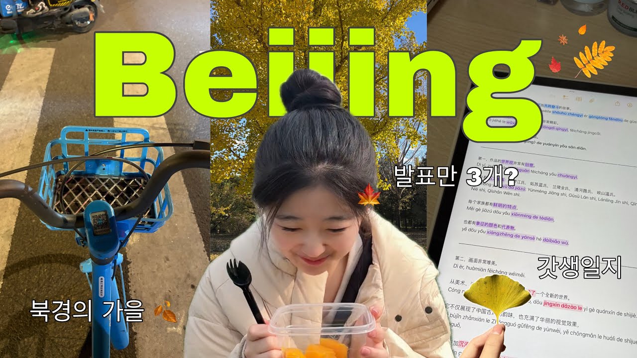[🇨🇳ep.5] 북경 어학연수 브이로그 | 힐링🌿과 갓생📚 사이 | 먹고 공부하고 사랑하라 | 가을이 왔어요 | 허안요안 | 진정령