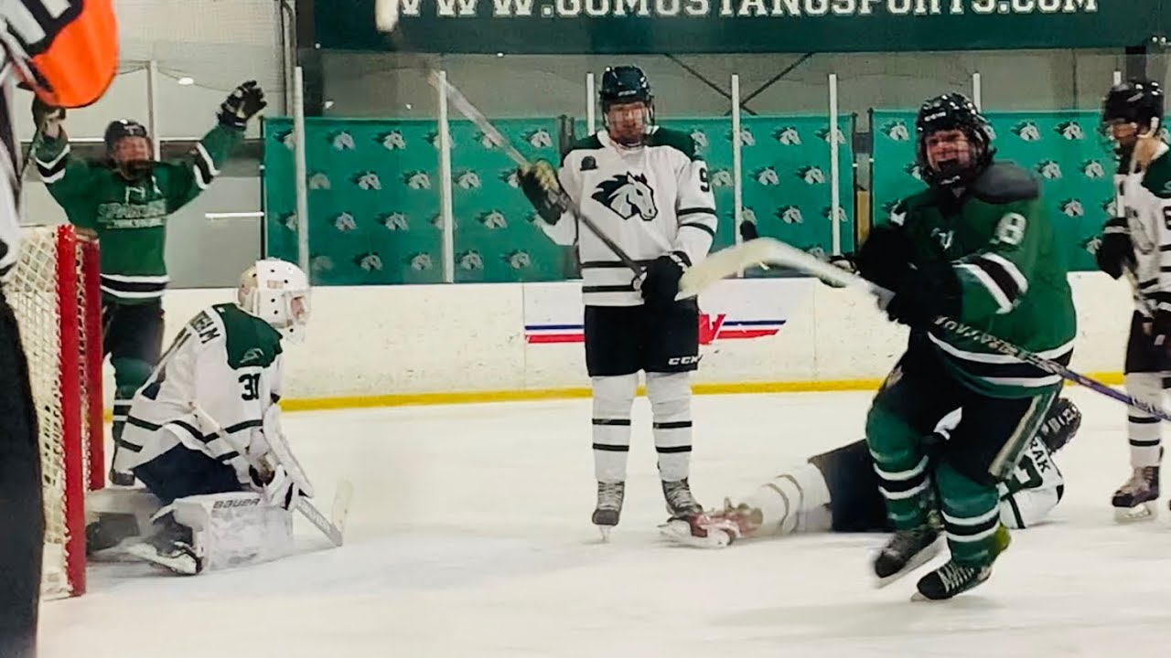 York College Spartans Ice Hockey Overtime Defeat To Stevenson york-college-spartans-ice-hockey-overtime-defeat-to-stevenson