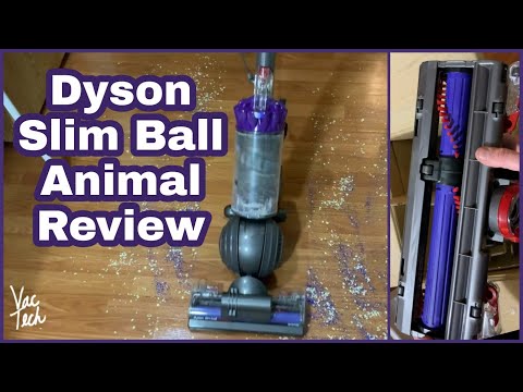 Dyson Slim Ball Animal Vacuum Review & Demo - UP16