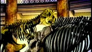 GamesMaster S5 E10