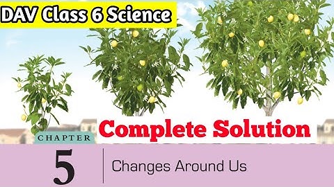 DAV Class 6 Science Chapter 5 Solution|| Changes Around Us Solution||