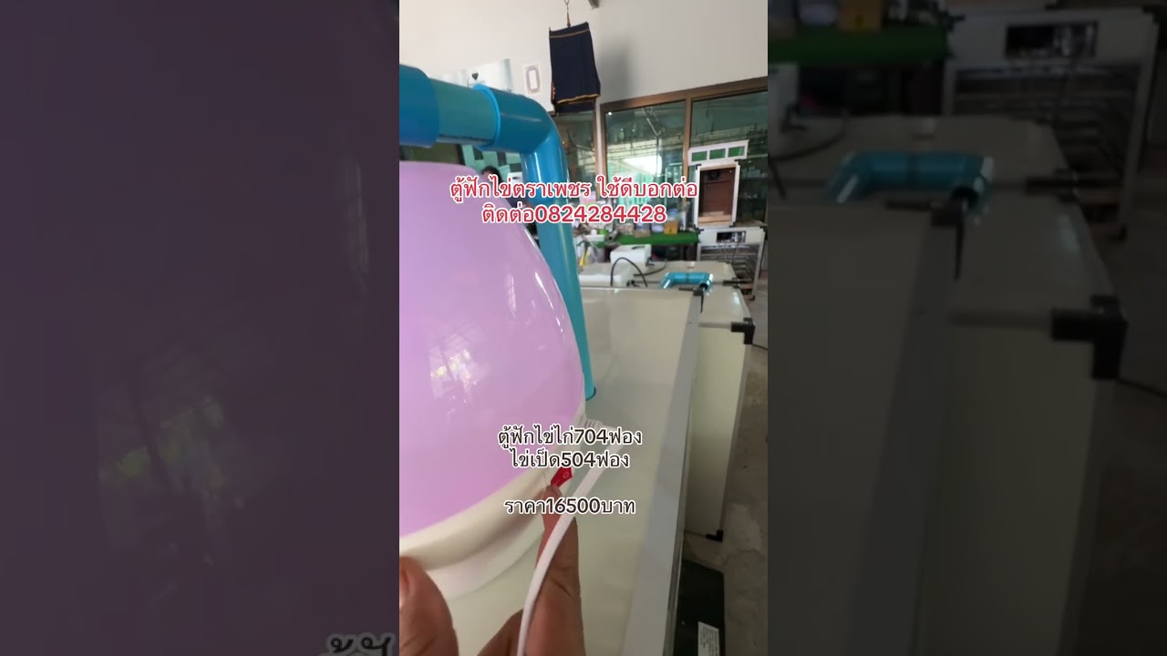 ตู้ฟักไข่ไก่704ฟอง