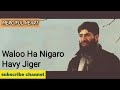 Waloo Ha Nigaro Havy Jiger ||Kashmiri Naat // By Zubair Salafi |Merciful Heart Mp3 Song