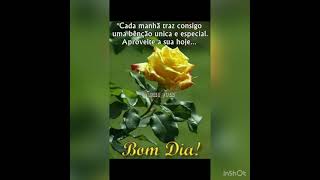 Bom dia quarta feira