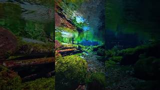 Flowing Water Paradise 🌿 Relaxing Nature Sounds