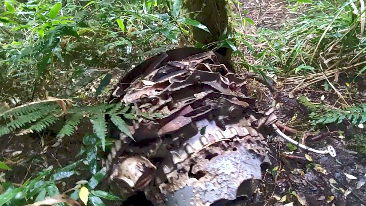 Destroços do avião da Sadia - Morro do Carvalho