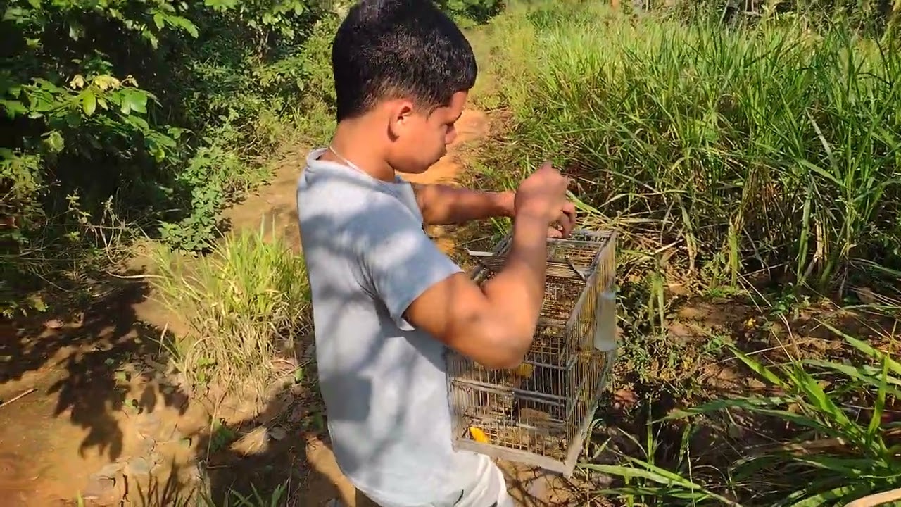 Nós foi pegar sibite e pegamos duas