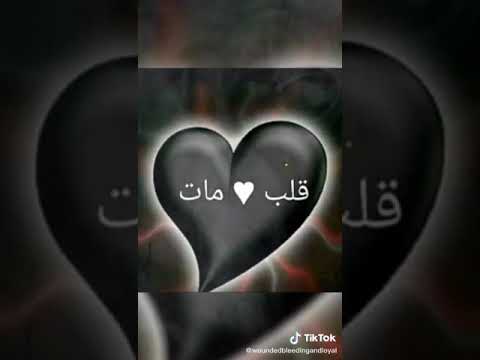 الدنيا بلا اب والله متسوه