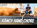 Ranch Hand Jeffs' Chore