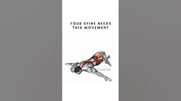 Your Spine Needs This Movement | Mobility Exercises | The mobility Manual