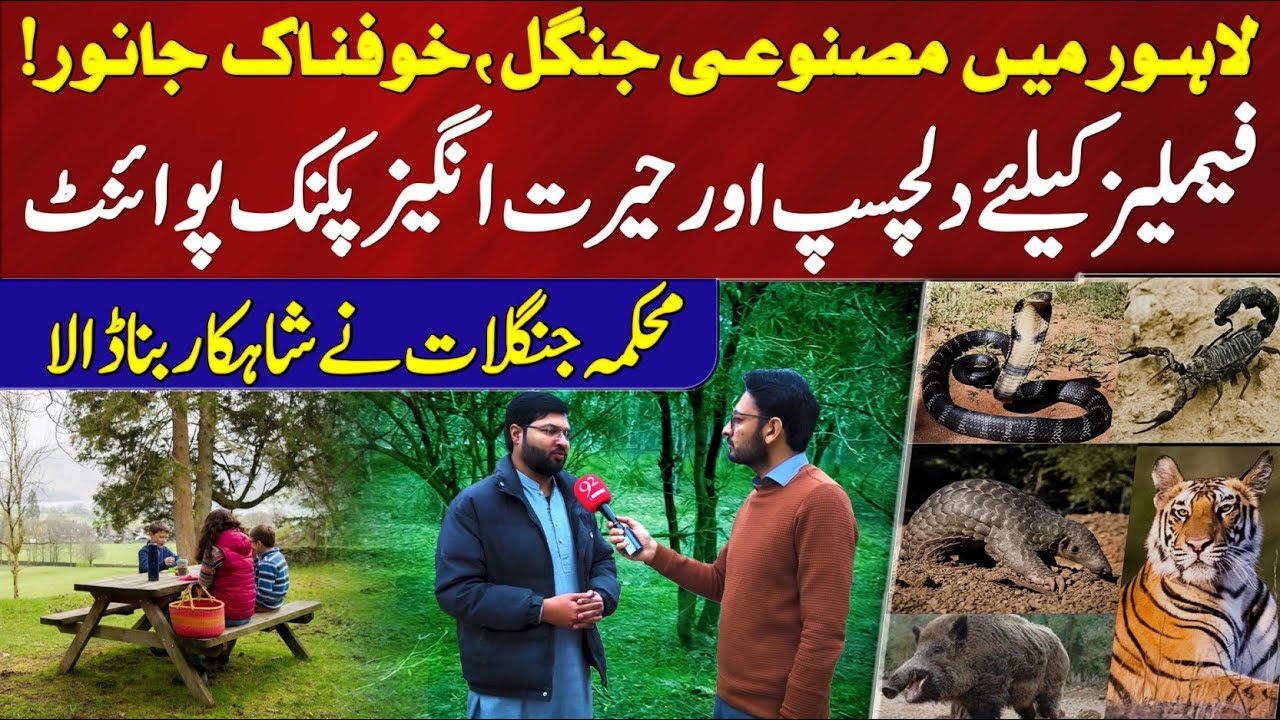 Artificial Forest in Lahore | Amazing Picnic Spot for Families | Forest Dept. Masterpiece | 92NewsHD