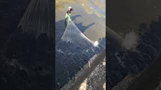 Bukana Ng Dam Na Tirahan Ng Madaming Isda