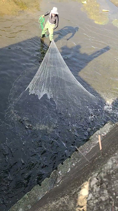 bukana ng dam na tirahan  ng madaming isda