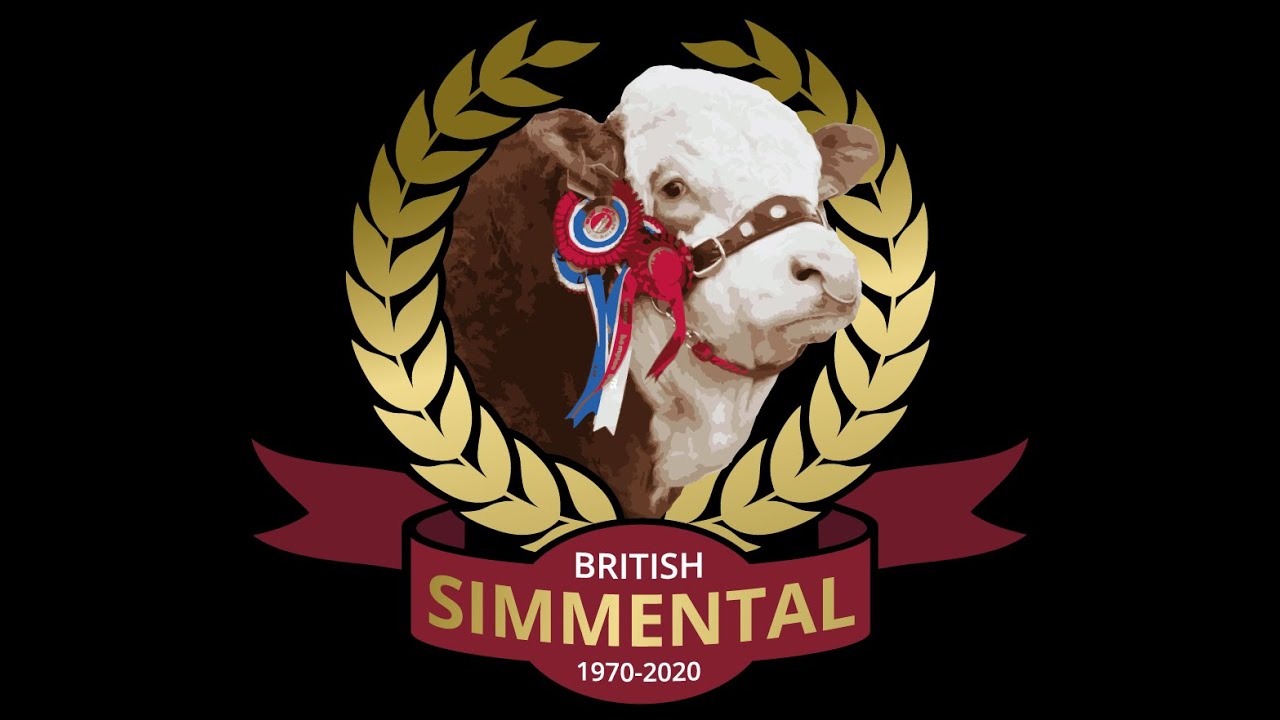 Simmental Sale at Stirling at 12 noon approx on Monday 5th May '25