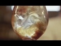 Conker Cocktails - #7 Cold Brew G&T