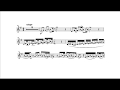Alessandro Marcello: Oboe Concerto (Matthias Höfs, trumpet) II