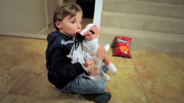 Doritos Crash The Super Bowl®️ Video Entry, A Puppy! By Bronson Anderson