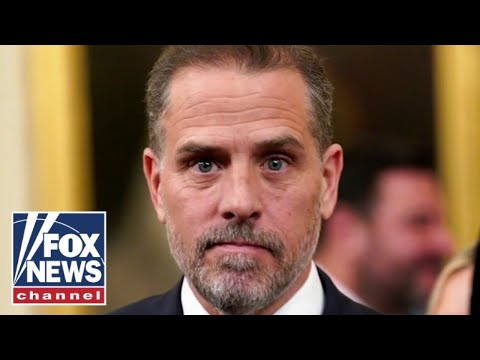 Hunter Biden associate reportedly cooperating with GOP investigation