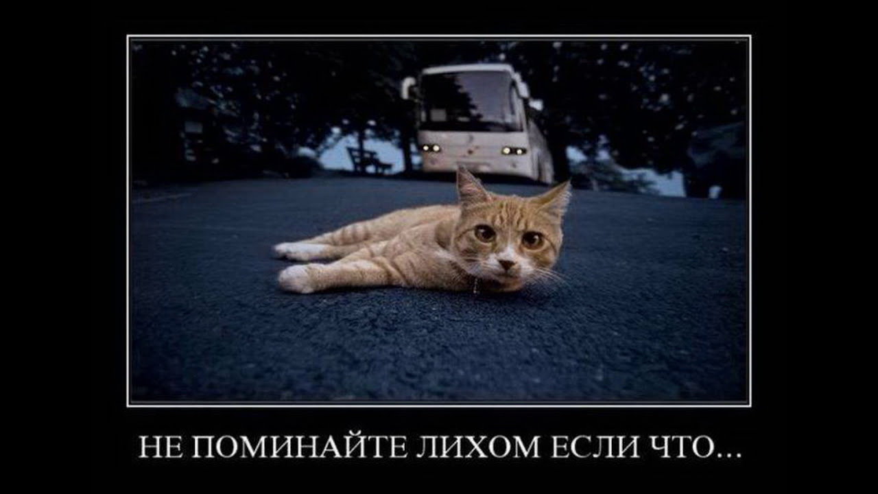 Не поминайте лихом. Феномен высоцкий. Не поминай лихо. Если что не поминайте лихом. Не поминайте лихом значение.