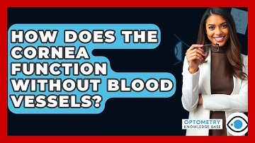How Does The Cornea Function Without Blood Vessels? - Optometry Knowledge Base