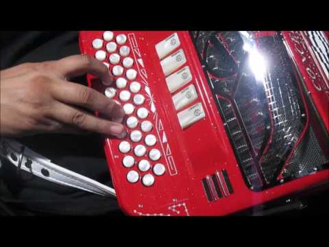 Bigshow Acordeon De Botones