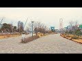 Tokyo Cycling Tour Odaiba To Kasairinkai Park | Bike Ride POV - 4K 60fps