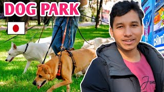 Yoyogi Park Tokyo| Dog Park in Tokyo| Japanese Dog Park| Japan Vlog Bangla