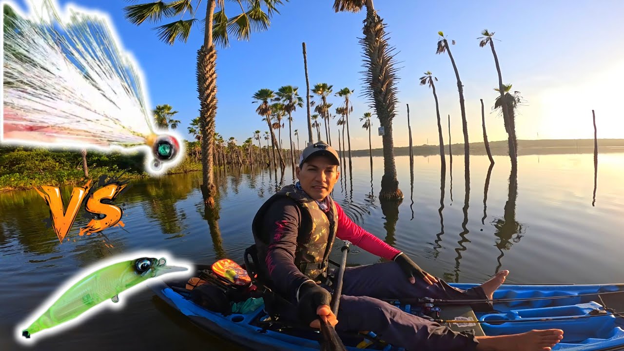 ROZANTE 63 VS JIG ZOIM QUAL PEGA MAIS?