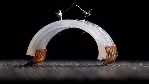 These tiny robots are faster than cheetahs for their size