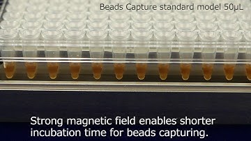 Magna Stand  for 96well PCR Plate