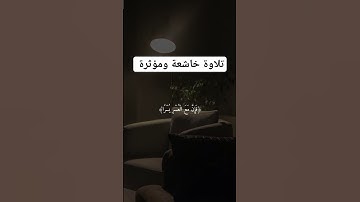 تلاوة خاشعة ومؤثرة #فرنسا #fypシ #omletarcade #fff #instagram #reels #religion #france #pakistan