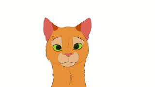 Happy cat - animation test WIP #2