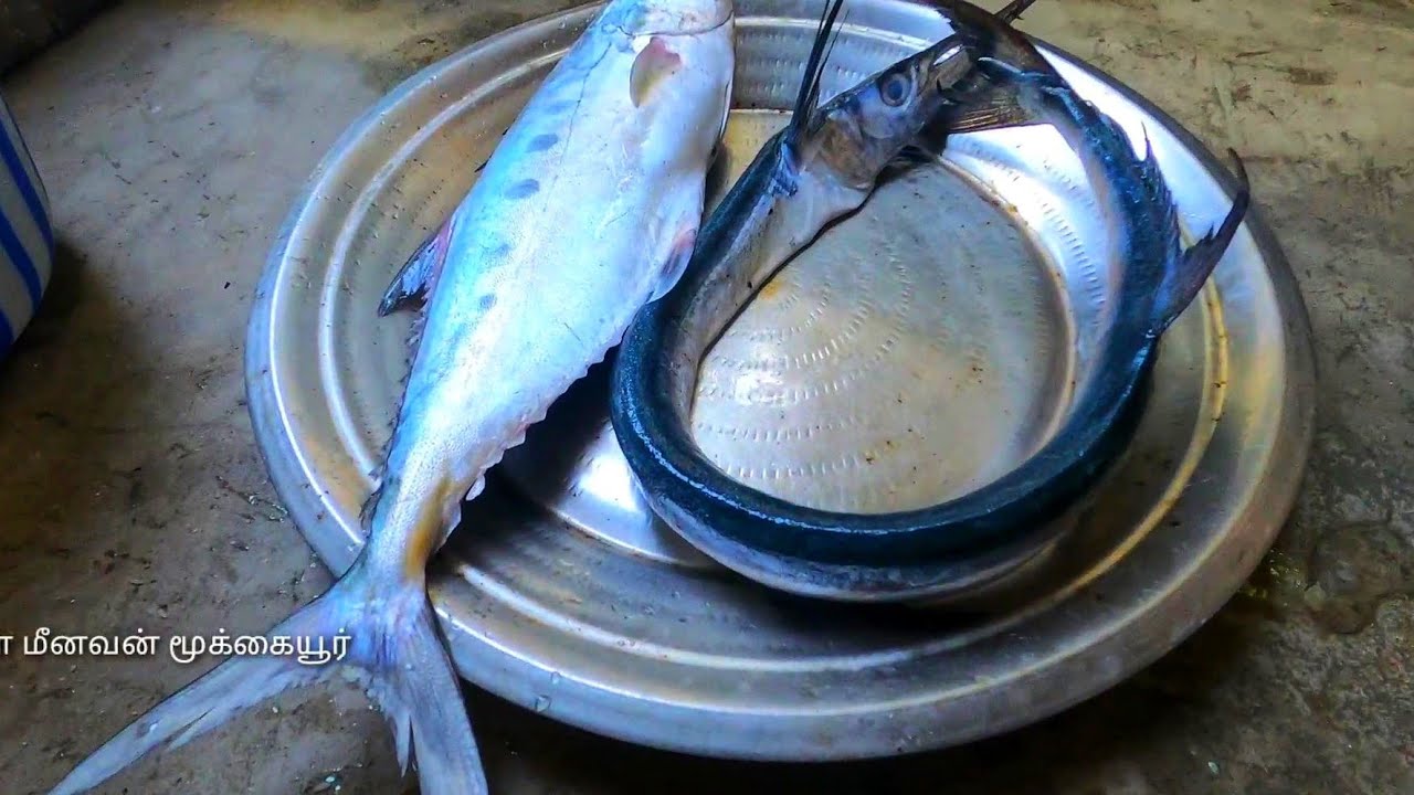 வாலை முரல் மீன் குழம்பு, கட்ட மீன் பொரியல் / Village style gar fish ...