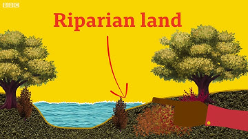 What is Riparian Land? - BBC What