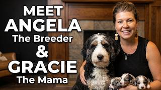 Mountain Dog Companions Merle Multi Gen Mini Bernedoodle Name Day with Gracie & the Breeder Angela