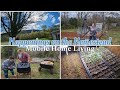 Happenings around the homestead  windmill  compost bin  home gardening journey