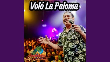 Voló La Paloma
