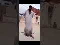 امراة حبست هرة هههه امراة حبست هرة هههه