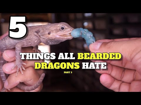 5 Things All