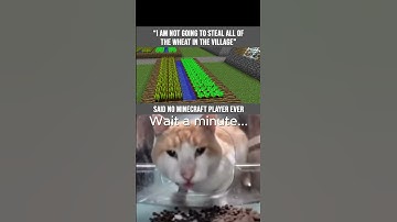 Wait a minute... #memes #funnymemes #fyp #video #viralvideo #shorts #cat #minecraft